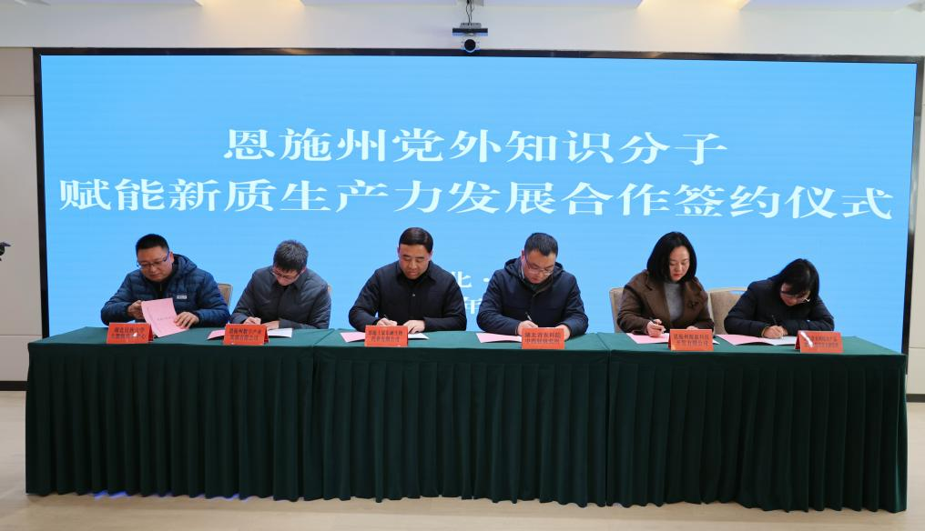 1768185288173045213.png 1768185288173045213.png