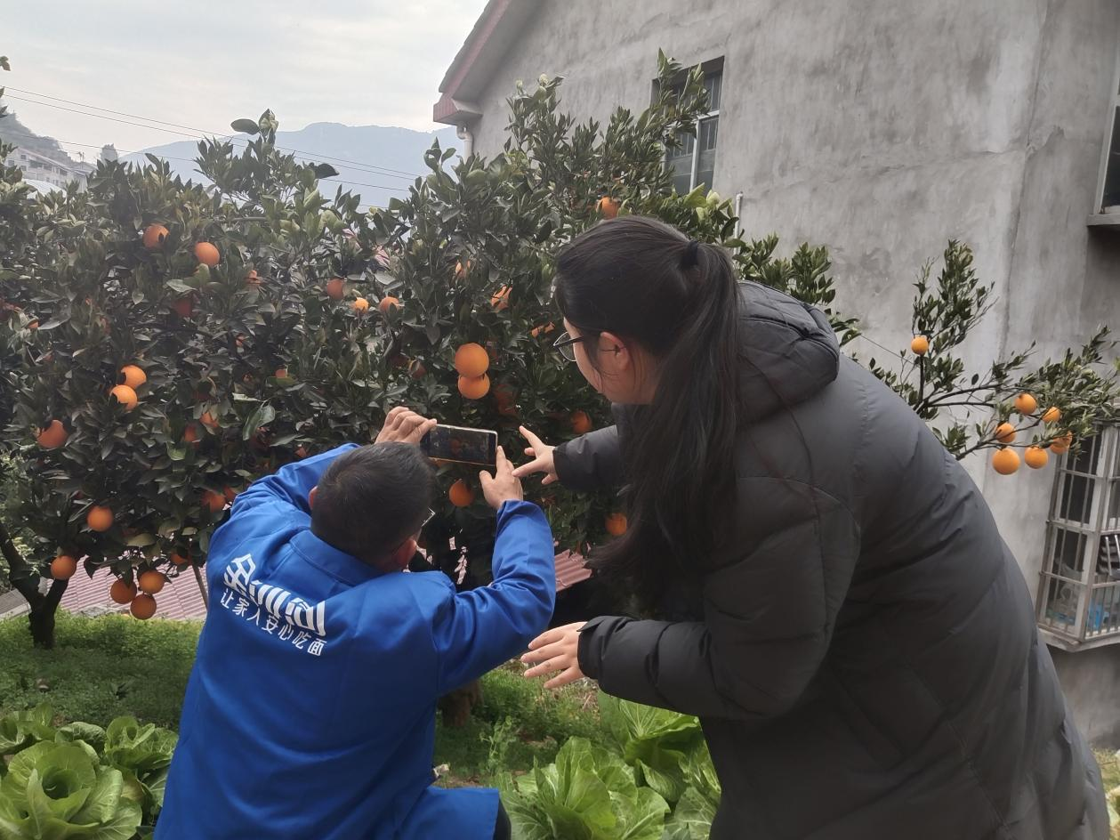 1775647400027057251.png 1775647400027057251.png